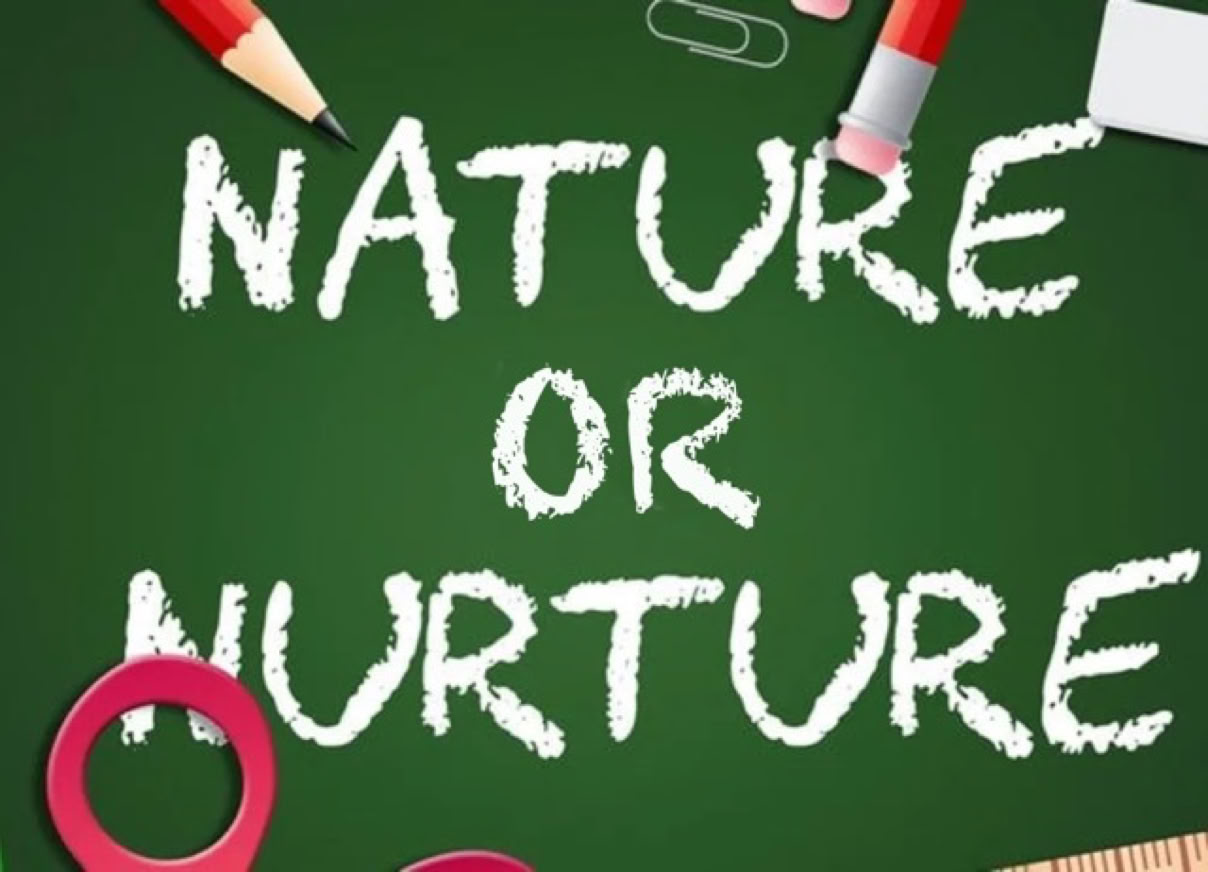 Nature vs Nurture chalkboard