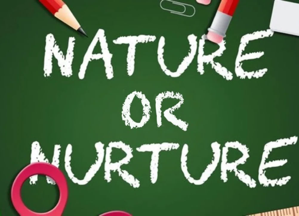Nature vs Nurture chalkboard