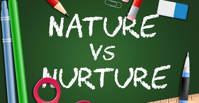 Nature vs Nurture chalkboard